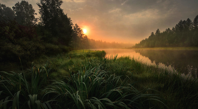 Morning and Taiga