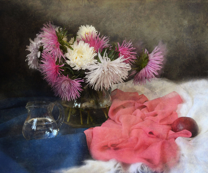 August - asters ...