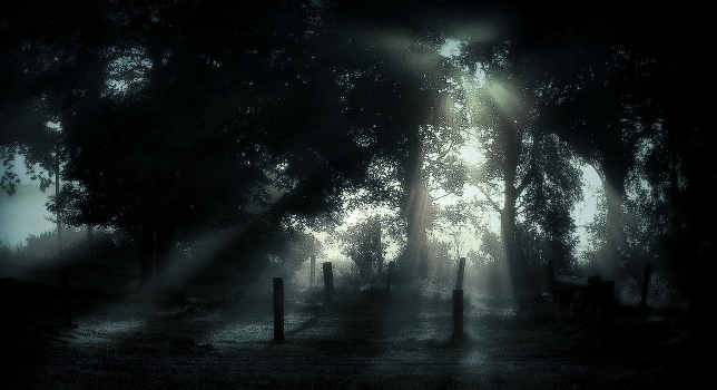 Light hallucinations