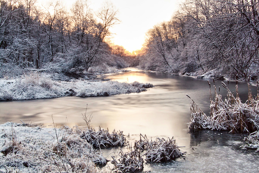 Start of winter