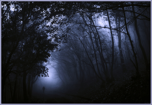 In the fog.