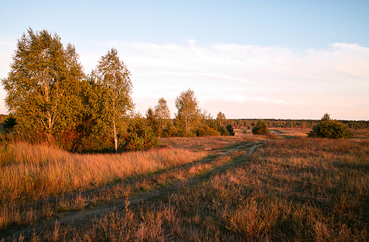 Evening