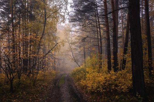  '' Visiting autumn  ''
