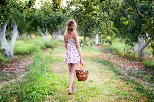 Apples