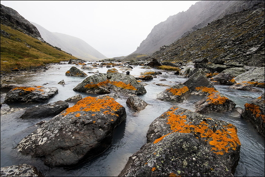 Different Altai