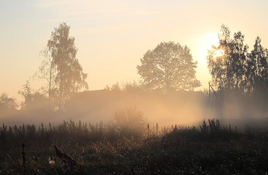 Morning