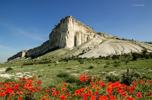 About White rock and scarlet poppies