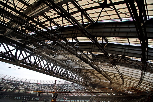 Moscow. Grand Sports Arena "Luzhniki". 10.09.2015g.
