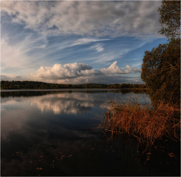 ... mid autumn ...