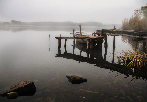 Foggy morning Zugres