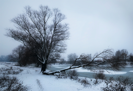 First snow