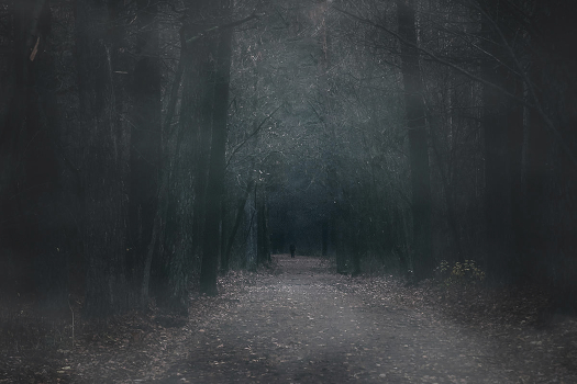 Fog