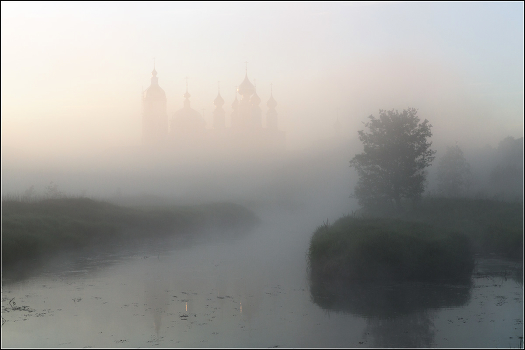 Foggy morning