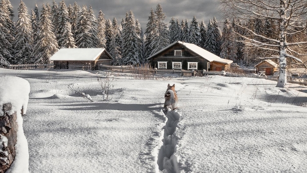 It snowed our village ...