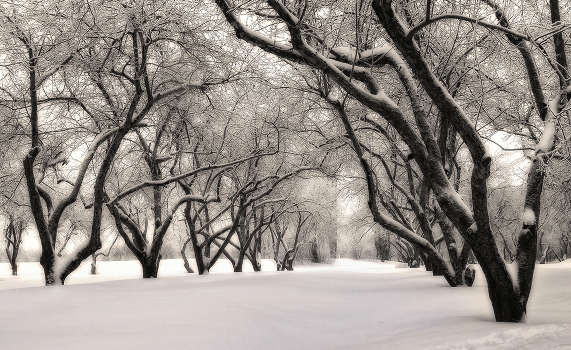 And freezes apple orchard ...