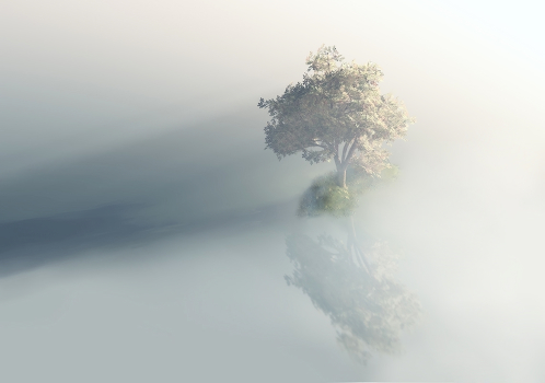 Light and shade...