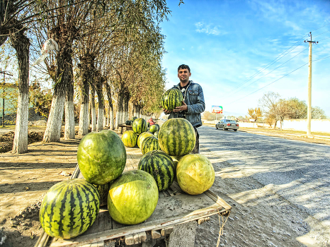 December watermelons ... Kurgan-Tube. Tajikistan