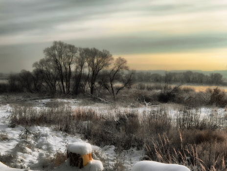 Winter evening