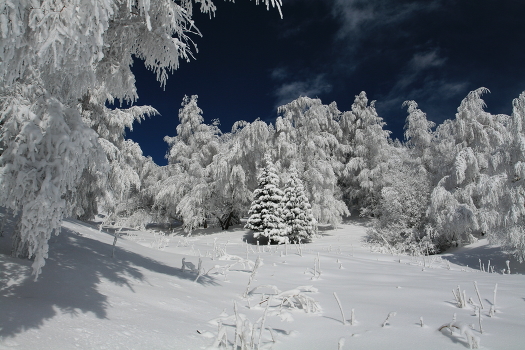 Winter day