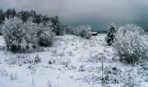 Winter