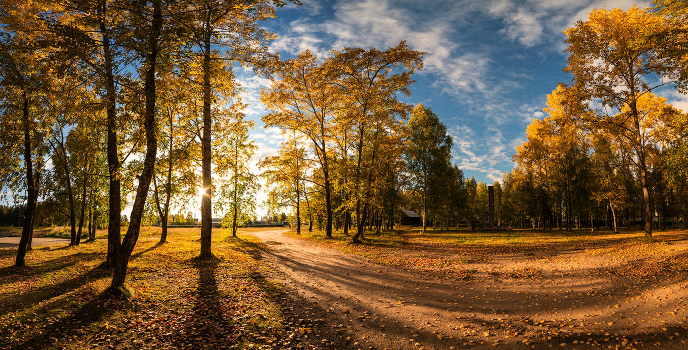 Autumn