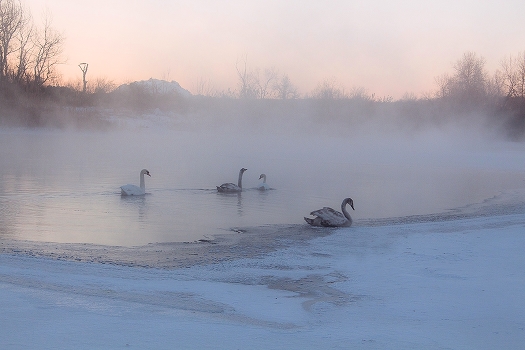 The morning of the New Year.