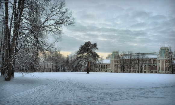 Winter morning