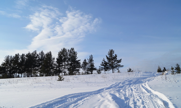 The January landscape