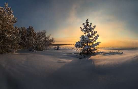***