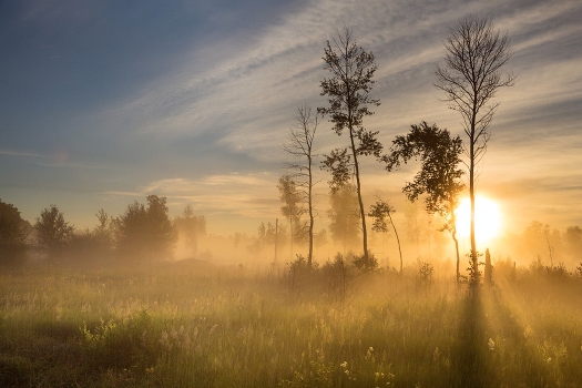 Rhyme of morning light