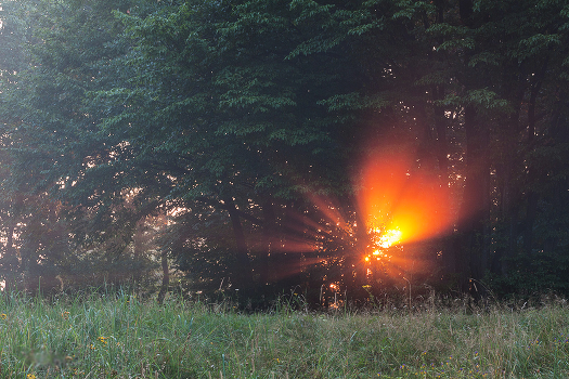 Rhyme of morning light