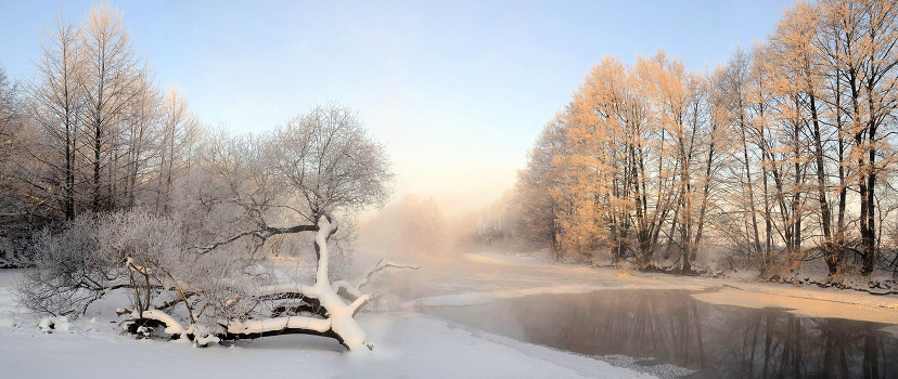 frosty morning