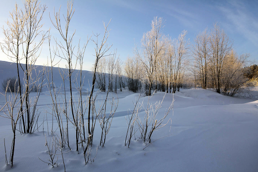 ***