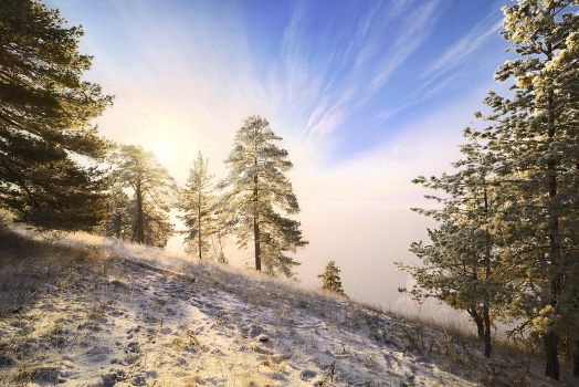 Winter day.