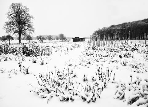AN DER LIPPE
