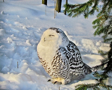 Frost and sun – what a wonderful day