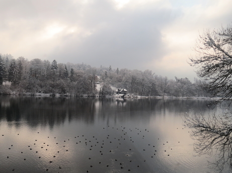 Peace and quiet