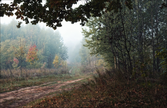Autumn mists