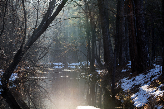 The breath of spring