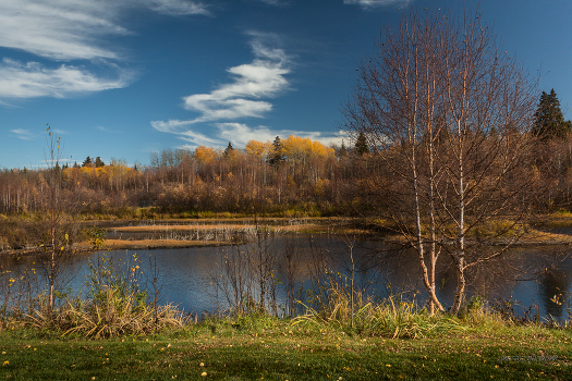 Autumn landscape