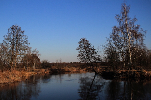 The April