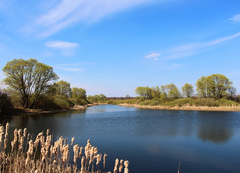 The breath of spring