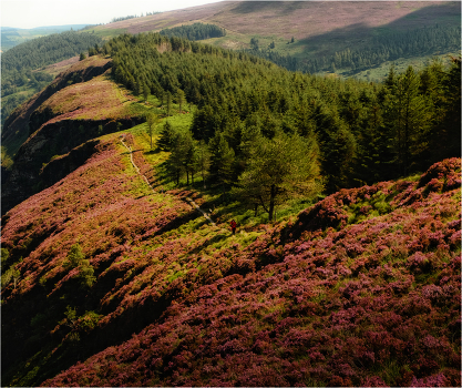 ... Trails Glendalough ...