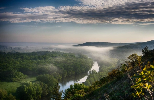 Foggy morning