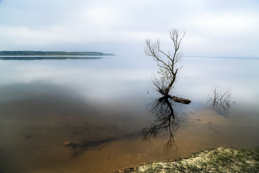 Silence