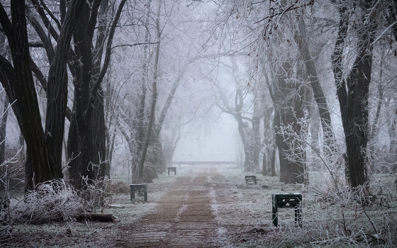 frosty morning
