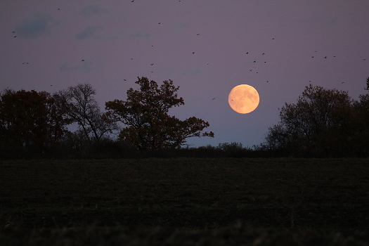 time of the moon