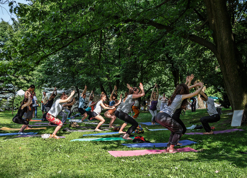 Lviv Yoga Day