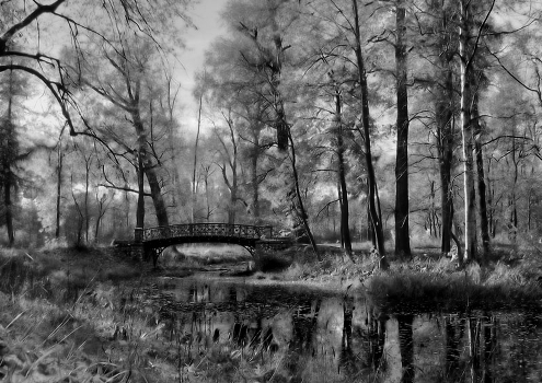 on the bridge ...