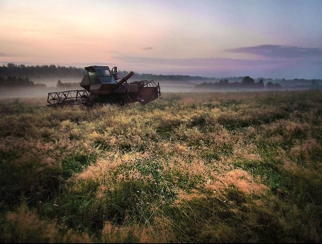 Polyushko-field